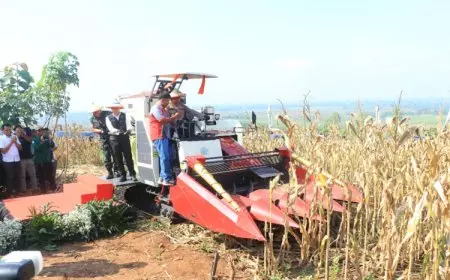 Kapolda Jatim dan Forkopimda Panen Raya Jagung di Ngawi, Dorong Ketahanan Pangan Daerah