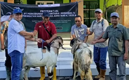 Idul Adha 2025, PTPN I Regional 5 Bagikan Hewan Kurban pada Warga Perkebunan di Lima Kabupaten