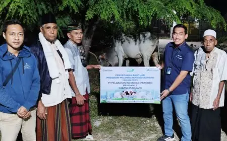 Pelindo Waingapu Serahkan Hewan Kurban di Masjid Al&#45;Falah Kampung Baru