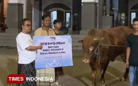 Wapres Gibran Kirim Sapi Limosin ke Pondok Tremas Pacitan, KH Luqman: Udhiyyah Maqbulah