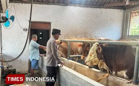 Polresta Banyuwangi Bantu Genjot Produktivitas Peternakan Sapi Rakyat