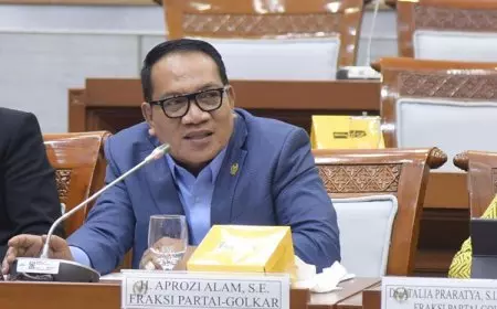 Legislator Golkar Aprozi Nilai Pencabutan Izin Tambang Raja Ampat Wujud Penerapan Ekonomi Hijau Berkelanjutan