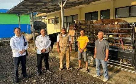 Dukung Sosialisasi PLTA Cimandiri 3, BCE Berikan 3 Sapi ke Warga Jampangtengah