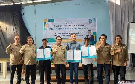 Dorong Pemenuhan Bahan Baku, CDK Wilayah Banyuwangi Jembatani Industri Kayu dan Kelompok Tani