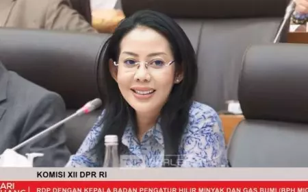 DPR Atensi Banjir Rob di Jakarta Utara, Dukung Giant Sea Wall