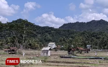 BPBD Minta Warga NTT Siap Siaga Memasuki Musim Kemarau Panjang