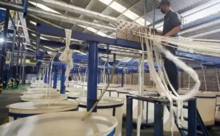 API Dukung Pemerintah Tolak Usulan Bea Masuk Anti-dumping Benang Filamen Sintetik Tertentu