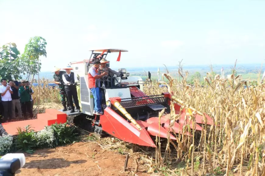 Kapolda Jatim dan Forkopimda Panen Raya Jagung di Ngawi, Dorong Ketahanan Pangan Daerah