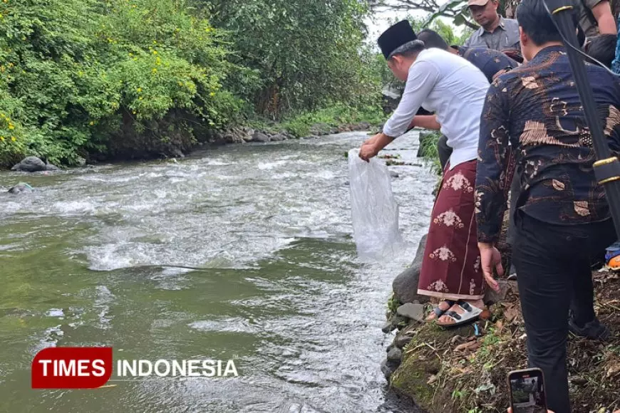 Kembalikan Ekosistem Asli, Bupati Jember Fawait Tebar Ribuan Benih Ikan ke Sungai Silo