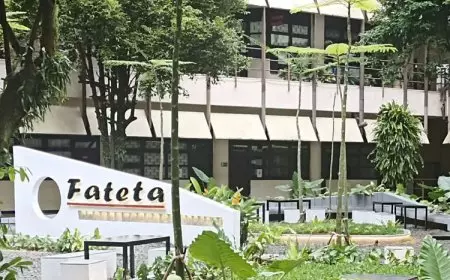 Penolakan Perubahan Fateta IPB Jadi Sekolah Teknik, Mendiktisaintek: Fakultas Hingga Prodi, Bicarakan Baik&#45;baik