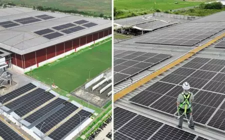 Lanjutkan Komitmen, Satu dari Empat Liter Cat Mowilex Kini Diproduksi Energi Surya