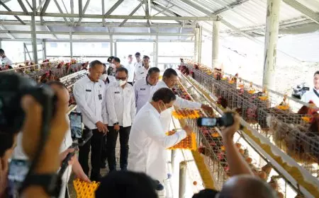 Menteri Imigrasi dan Pemasyarakatan Tinjau SAE L’Sima Malang, Dorong Sinergi Ketahanan Pangan Nasional