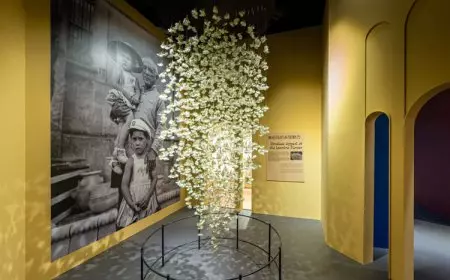 Tampilkan 140 Karya Asli, SJM Persembahkan Penayangan Perdana Dunia ''Picasso: Beauty and Drama"