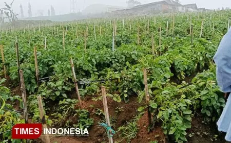 UWG Malang, Green City Movement: Urban Farming Jadi Kunci Ketahanan Pangan dan Lingkungan Berkelanjutan