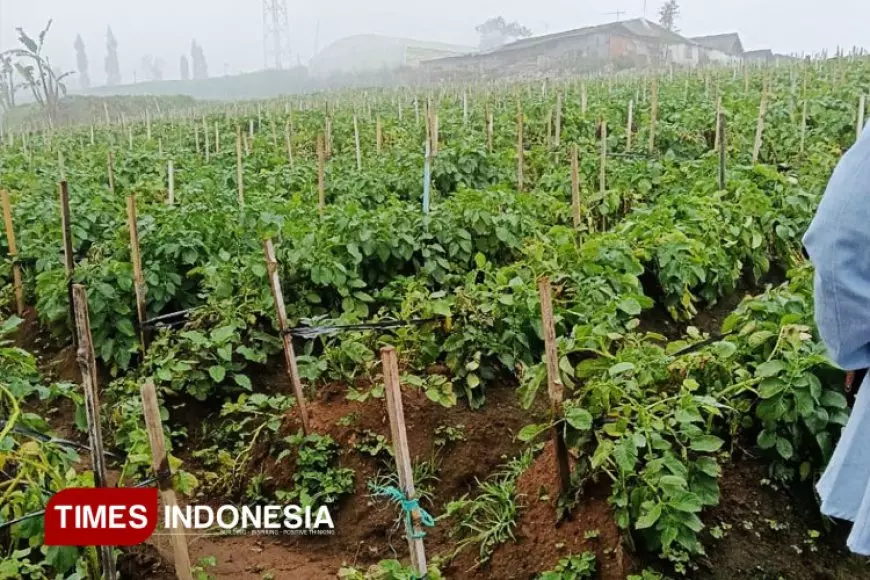 UWG Malang, Green City Movement: Urban Farming Jadi Kunci Ketahanan Pangan dan Lingkungan Berkelanjutan