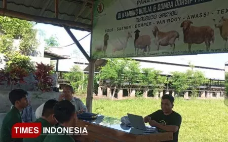 Mahasiswa Polbangtan Malang Rintis Peternakan Modern, Gandeng Mitra Kambing Burja