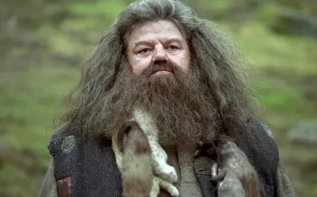 Hagrid Baru Terlalu Mirip Versi Lama, Sutradara Film Harry Potter Kritik Pedas Reboot HBO