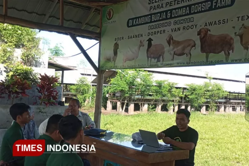 Mahasiswa Polbangtan Malang Rintis Peternakan Modern, Gandeng Mitra Kambing Burja