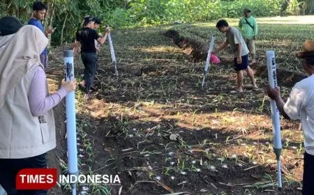 Implementasi Inovasi Teknologi Alat Bantu Pemupukan Efisiensi Pertanian