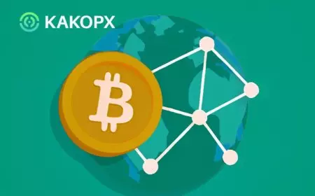Strategi Globalisasi KAKOPX, Berbagi Teknologi Koneksi Ekosistem dan Kepatuhan Menyeluruh