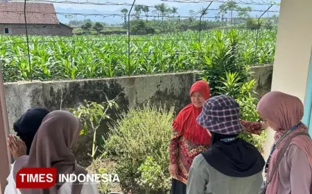 KSM&#45;T Kelompok 23 UNISMA Dukung Lurah dalam Lomba dengan Inovasi QR Code Tanaman TOGA