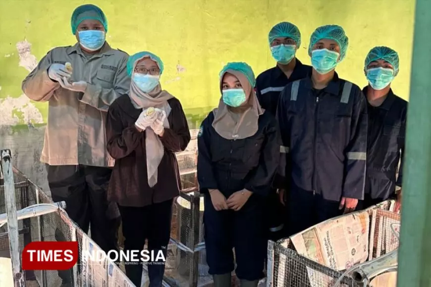 TIM PKM&#45;RE UNISMA Berinovasi Daging Ayam Sehat Melalui Pemberian Minyak Magot dan Antioksidan Selenium