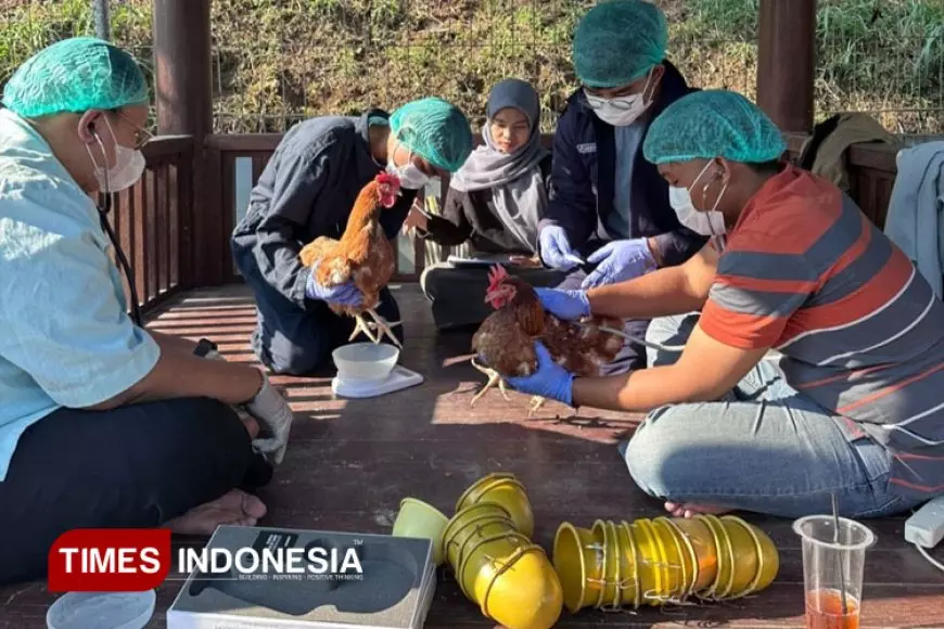 Gebrakan Mahasiswa PKM&#45;RE 2025 UNISMA Tingkatkan hasil Peternakan Lewat Minyak Maggot