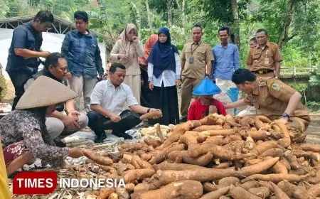 Bupati Pringsewu Lampung Kunjungi Banjarnegara Studi Tiru Pengembangan Mocaf