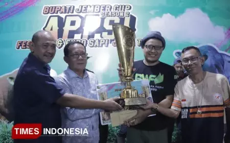 Sapu Jagad Juara Festival Sapi Jember Cup Season 2