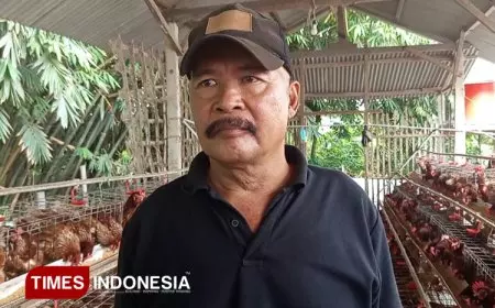 Pensiun Jadi Perangkat Desa, Fatkurrohman Bangun Sukses Baru dari Kandang Ayam Petelur