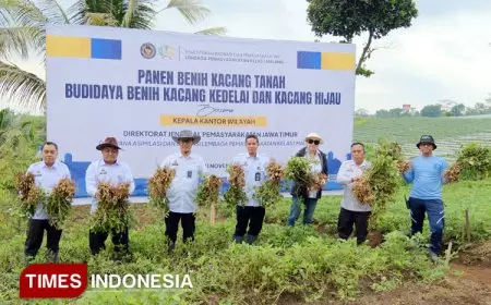 Kakanwil Ditjenpas Jatim Puji Kolaborasi Panen Perdana Kacang Tanah Lapas Malang