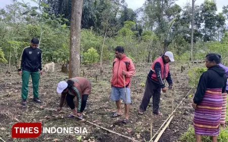 Mahasiswa Polbangtan Malang Dampingi Petani Ngada NTT Percepat Hilirisasi Kopi