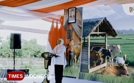 Gerakan Serentak Inseminasi Buatan Digelar di Jember, Sasar Lebih dari Seribu Ternak Betina