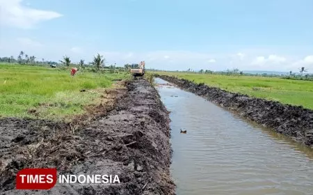 Jember Menuju Puncak Ketahanan Pangan, Mengupas Tuntas Program Optimalisasi Lahan (OPLAH) 2025