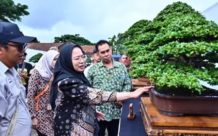 Pameran Nasional Bonsai dan Exhibition Suiseki 2025 Dibuka Bupati Banjarnegara