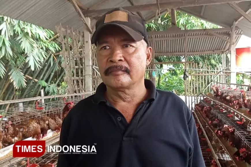 Pensiun Jadi Perangkat Desa, Fatkurrohman Bangun Sukses Baru dari Kandang Ayam Petelur