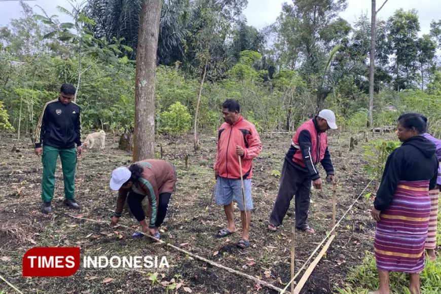Mahasiswa Polbangtan Malang Dampingi Petani Ngada NTT Percepat Hilirisasi Kopi
