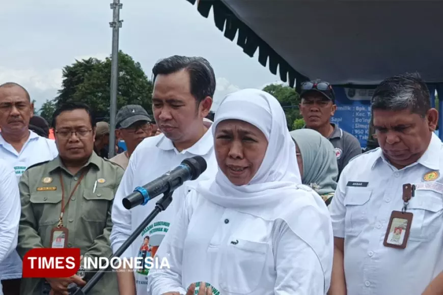 Jatim Target Swasembada Daging Sapi dalam 4 Tahun