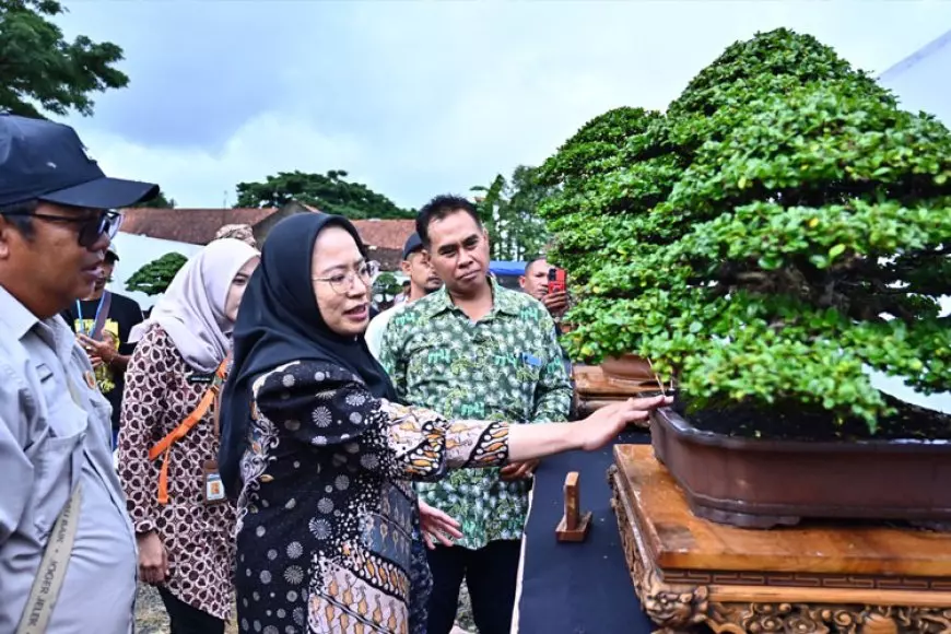 Pameran Nasional Bonsai dan Exhibition Suiseki 2025 Dibuka Bupati Banjarnegara