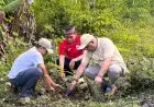 Tanam 1 Ribu Pohon di Parapuar, BPOLBF Ajak CEO Wujudkan Pariwisata Berkelanjutan Labuan Bajo