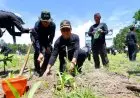 Cegah Bencana dari Hulu, Banyuwangi Gencarkan Tanam Ratusan Ribu Bibit Pohon