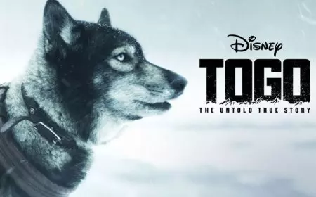 Film Tentang Anjing Heroik, Seperti Reno Unit K-9 Polda Riau yang Gugur