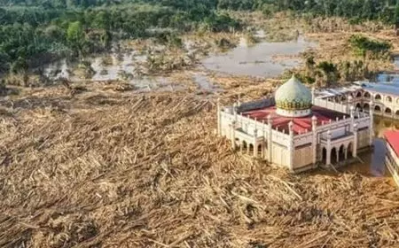 Perlu Penanganan Pemerintah Pusat, Warga Minta Presiden Tetapkan Bencana Sumatra Sebagai Bencana Nasional