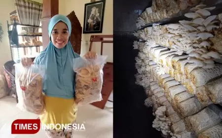 Alumni UNISMA, Mila Fadilatus Tsuroya Berdayakan Warga Lewat UMKM Snack dan Budidaya Jamur