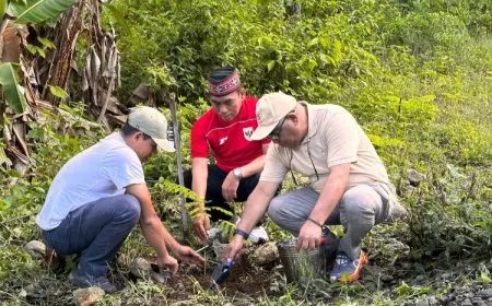 Tanam 1 Ribu Pohon di Parapuar, BPOLBF Ajak CEO Wujudkan Pariwisata Berkelanjutan Labuan Bajo