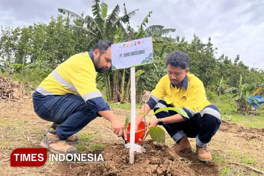 Cegah Bencana, Perhutani Hingga Perusahaan Tambang di Banyuwangi Gelar Penanaman Bibit Masal