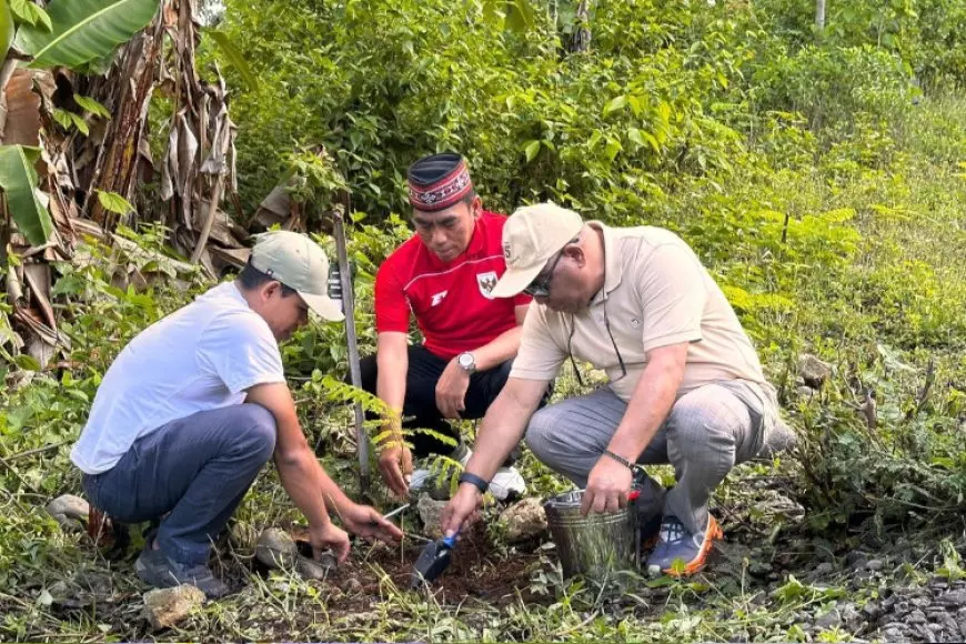 Tanam 1 Ribu Pohon di Parapuar, BPOLBF Ajak CEO Wujudkan Pariwisata Berkelanjutan Labuan Bajo
