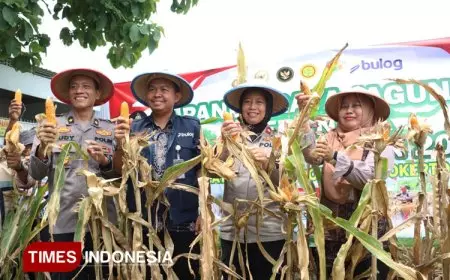 Panen Raya Serentak, Polres Mojokerto Kota Hasilkan 1 Ton Jagung