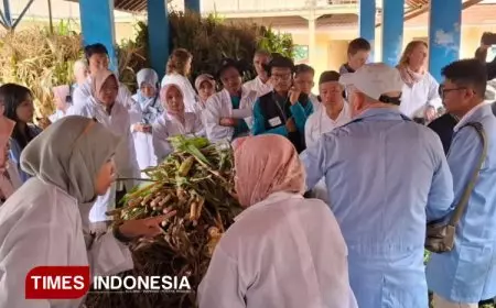 Kementan Gandeng Denmark Gelar ToT Pelatihan Susu Organik