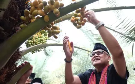 Dukung Perkebunan Kurma Lombok Utara, Kemenhaj Siapkan Platform Oleh-Oleh Haji